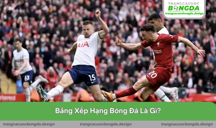 bang xep hang 1 Giới thiệu nhanh về bảng xếp hạng trong bóng đá