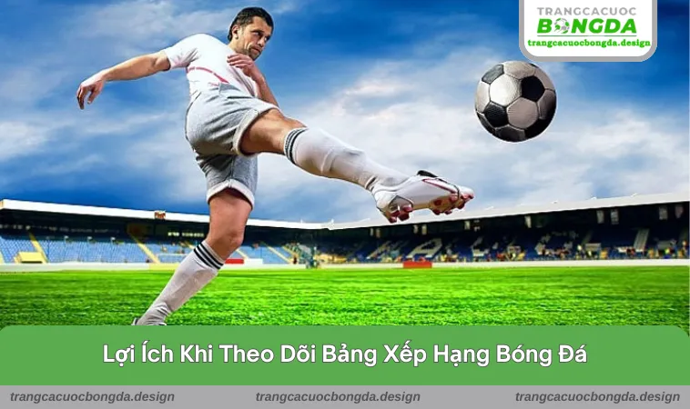 bang xep hang 2 Lợi ích cho hội viên khi tham gia vào trang web cá cược này