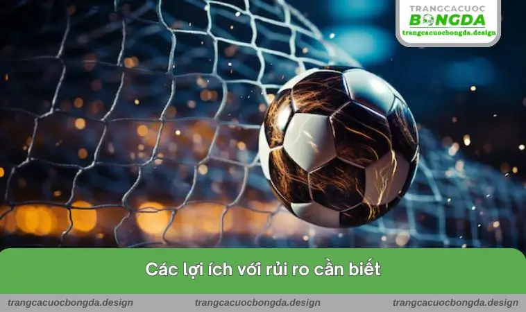 cac loi ich va rui ro Các lợi ích với rủi ro