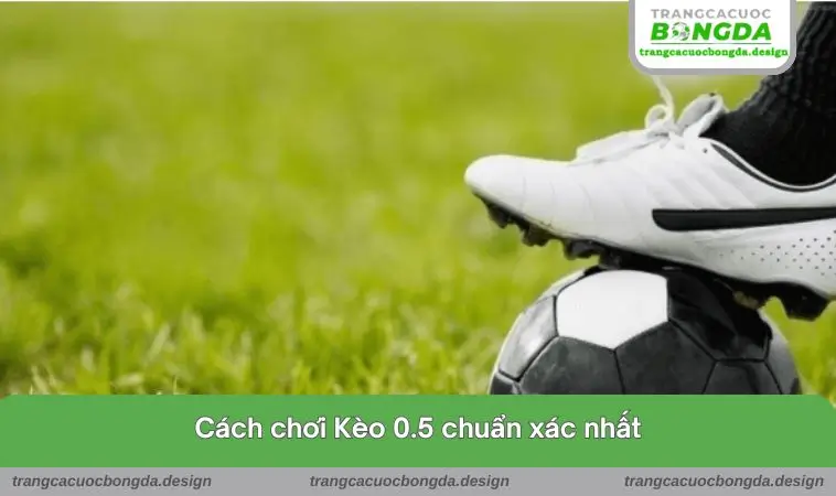 cach choi keo 0.5 chuan xac nhat Cách chơi chuẩn xác nhất