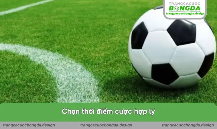 chon thoi diem cuoc hop ly Chọn thời điểm cược hợp lý