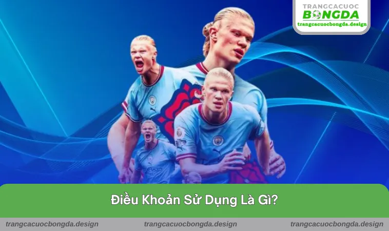 dieu khoan su dung 1 Tìm hiểu điều khoản sử dụng