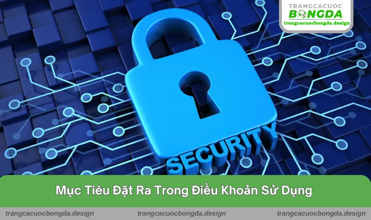 dieu khoan su dung 3 Mục tiêu của các quy định đưa ra