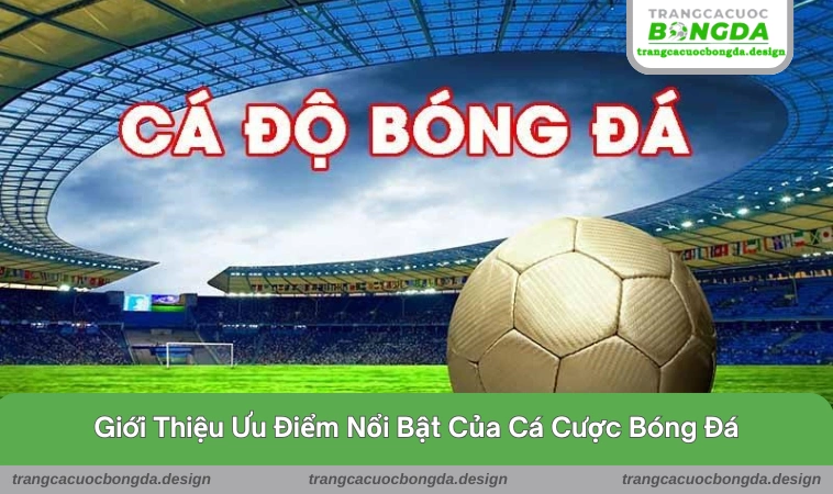 gioi thieu 2 Gợi ý những ưu điểm đặc sắc giới thiệu chi tiết cho tín đồ
