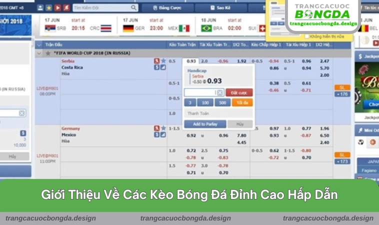 gioi thieu 3 Một số hình thức cá cược được giới thiệu cụ thể cho hội viên