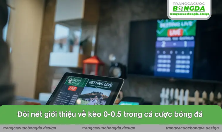 keo 0 0.5 2 Đôi nét giới thiệu về kèo 0-0.5 trong cá cược bóng đá