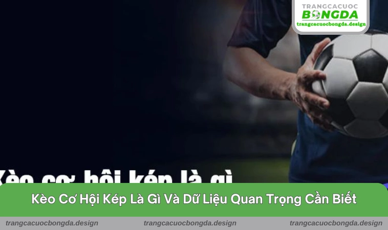 keo co hoi kep la gi 1 Tổng quát dữ liệu chi tiết của kèo cơ hội kép là gì