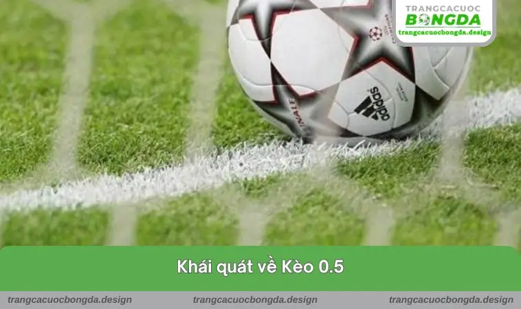 khai quat ve keo 0.5 Khái quát về loại hình này