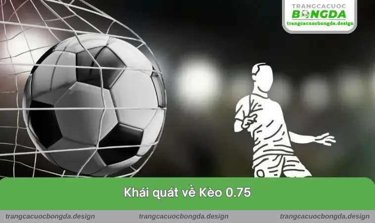 khai quat ve keo 0.75 Khái quát loại hình hấp dẫn này