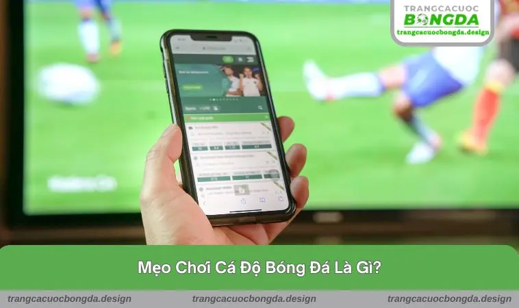 meo choi ca do bong da 1 Mẹo chơi cá độ bóng đá là gì?