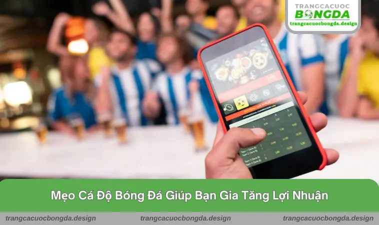 meo choi ca do bong da 3 Mẹo cá độ bóng đá giúp bạn gia tăng lợi nhuận