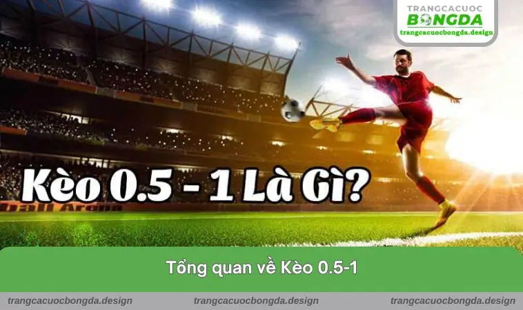 tong quan ve keo 0.5 1 Tổng quan về loại hình này