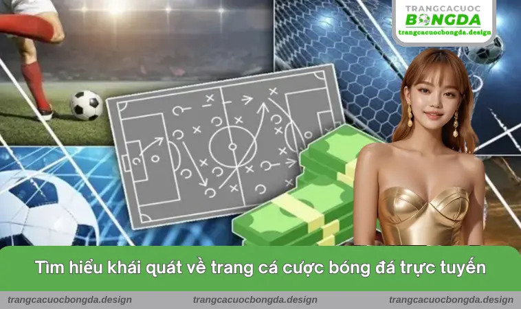 trang ca cuoc bong da 2 Tìm hiểu khái quát về trang cá cược bóng đá trực tuyến