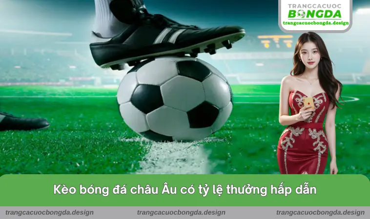 trang ca cuoc bong da 5 Kèo bóng đá châu Âu có tỷ lệ thưởng hấp dẫn