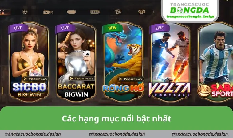 cac hang muc noi bat nhat Các hạng mục nổi bật nhất