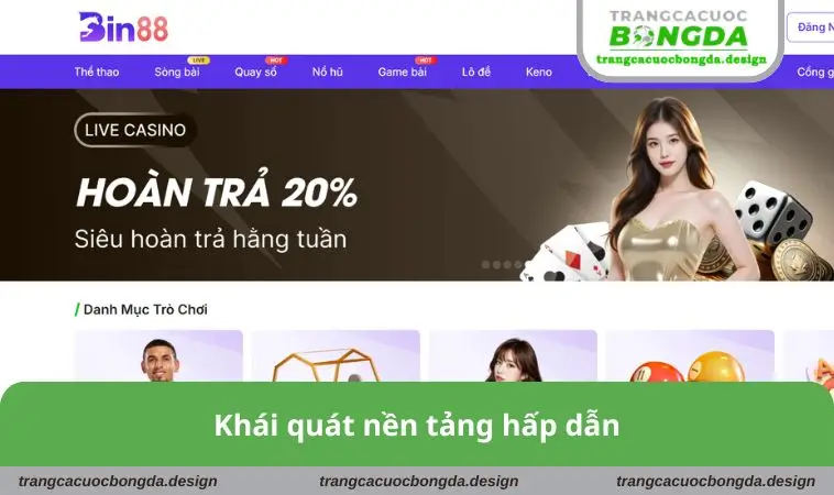 khai quat nen tang hap dan Khái quát nền tảng hấp dẫn